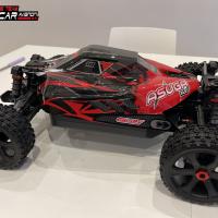 Buggy (Team Corally Asuga 1/7 ème)