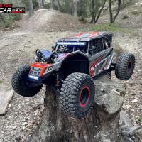 Desert Truck 1/6 (Losi Super Rock rey)